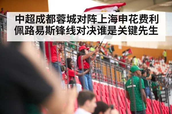 中超成都蓉城对阵上海申花费利佩路易斯锋线对决谁是关键先生