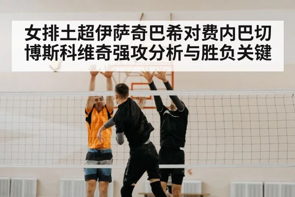 volleyball block net
