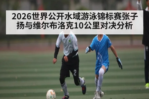 2026世界公开水域游泳锦标赛张子扬与维尔布洛克10公里对决分析